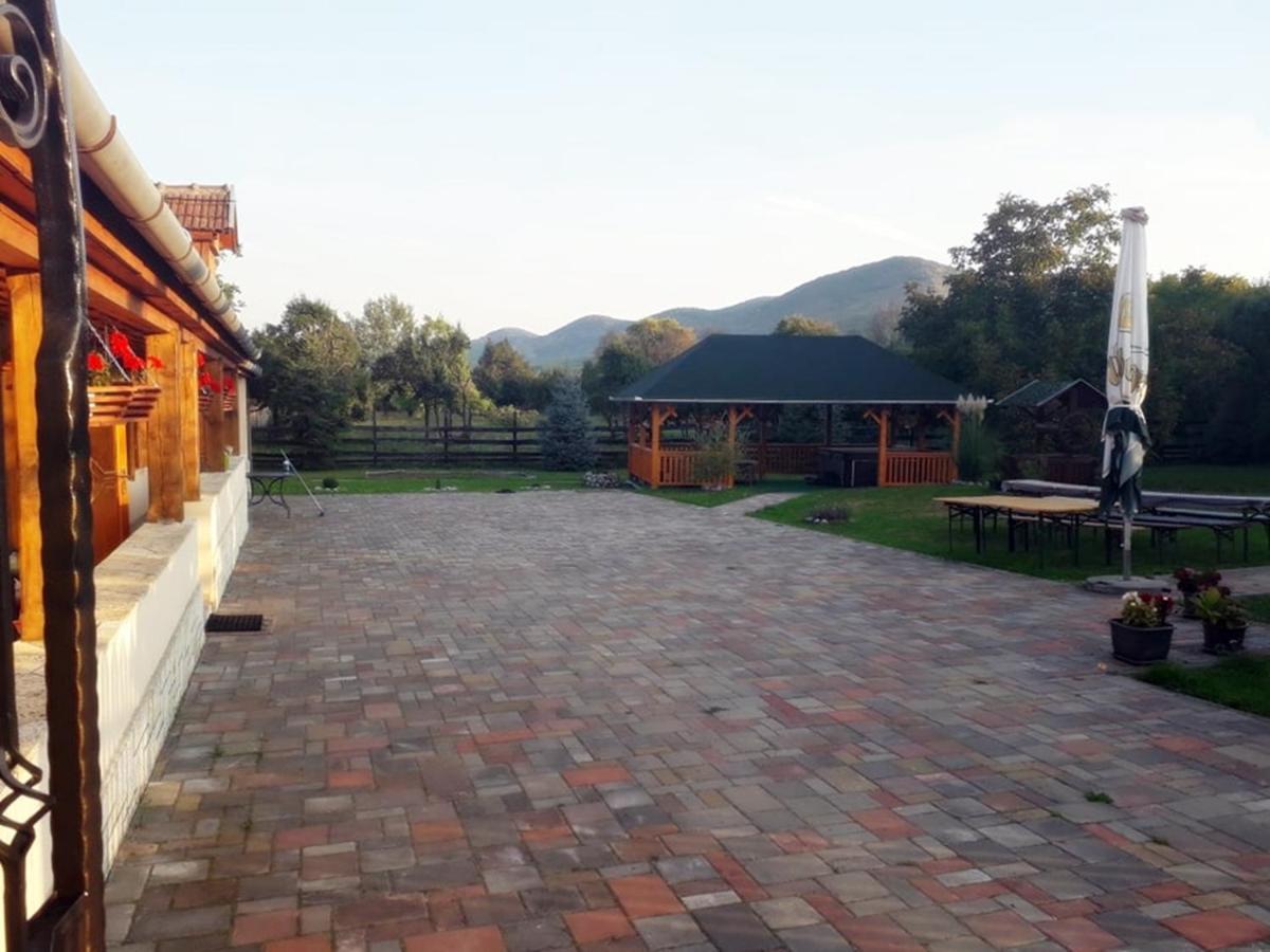 Hegyalja Vendeghaz Apartment Tolcsva Exterior foto